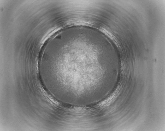 X0000088140782200705141510