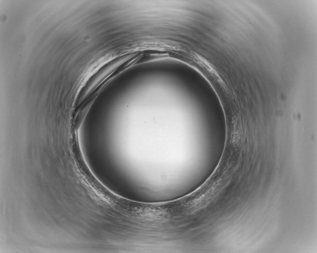 X0000088140786200705141510