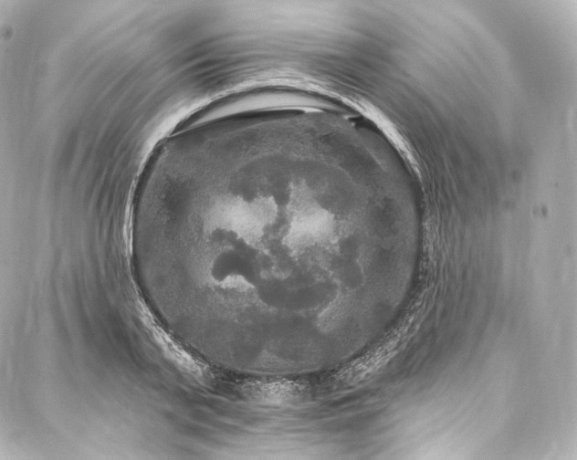 X0000088140791200705141510