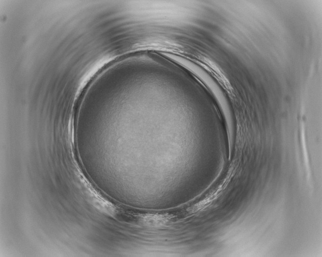 X0000088140796200705141510