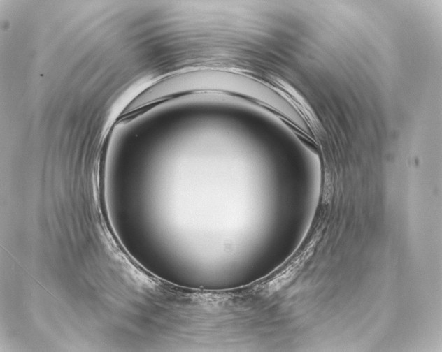 X0000088140812200705141509
