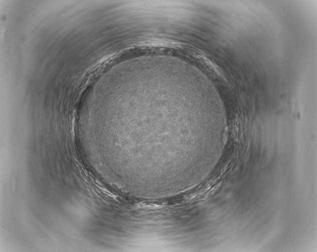 X0000088140821200705141508