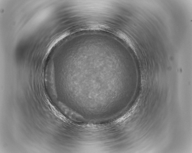 X0000088140827200705141509