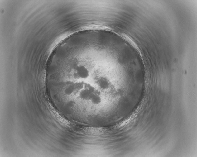 X0000088140831200705141509