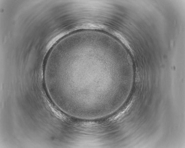 X0000088140837200705141509