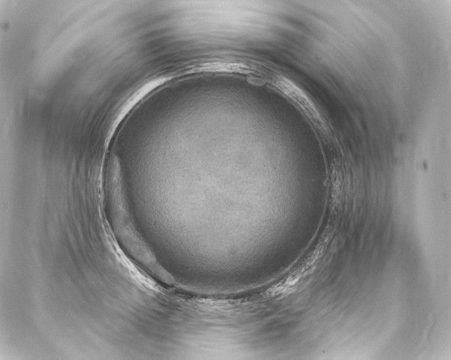 X0000088140852200705141509