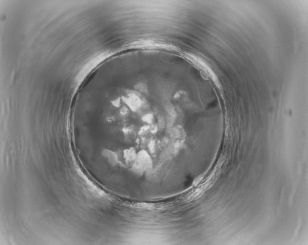 X0000088140855200705141509