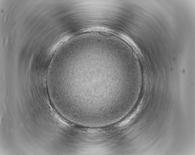 X0000088140857200705141509