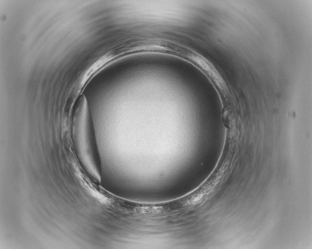X0000088140858200705141509