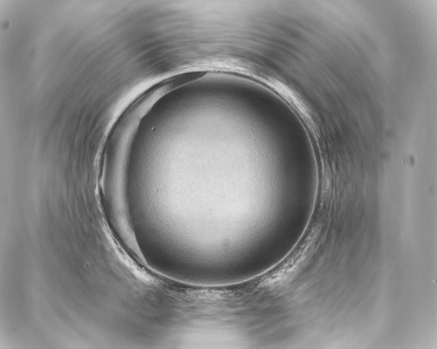 X0000088140862200705141509