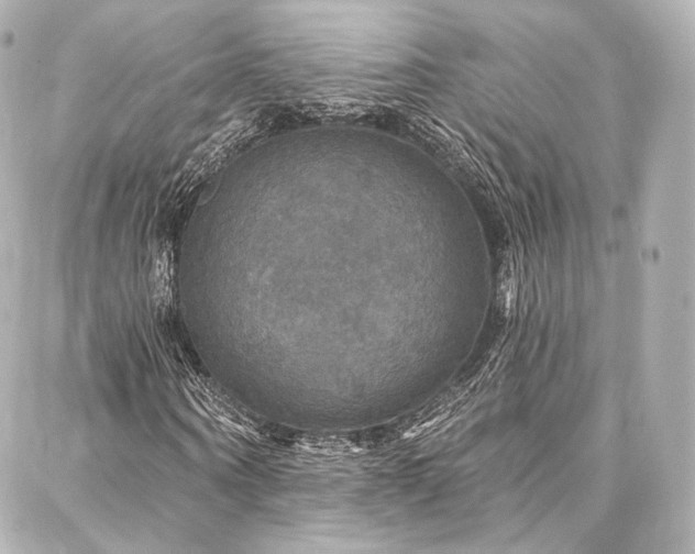 X0000088140866200705141508