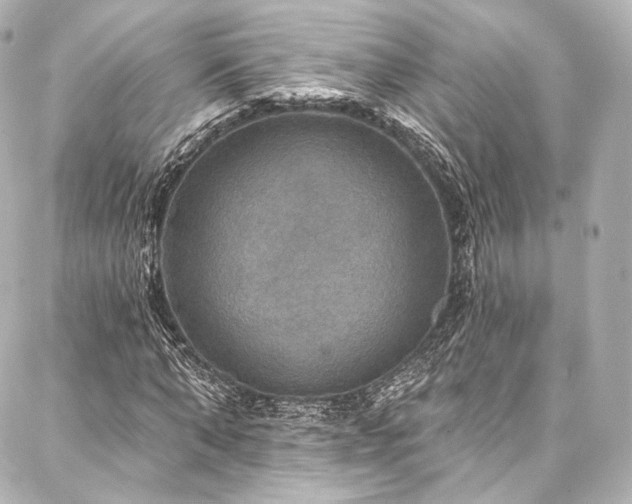 X0000088140870200705141508