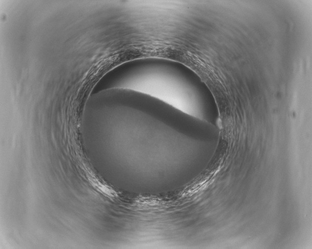 X0000088140913200705141507