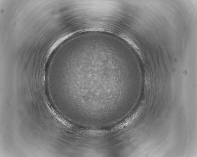 X0000088140933200705141507