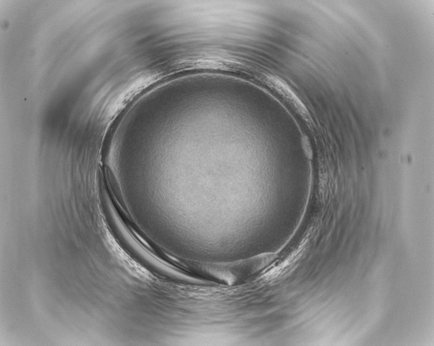 X0000088140938200705141507