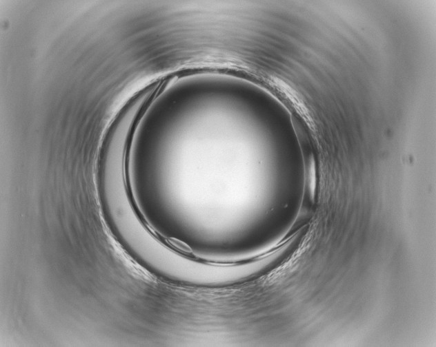 X0000088140942200705141507