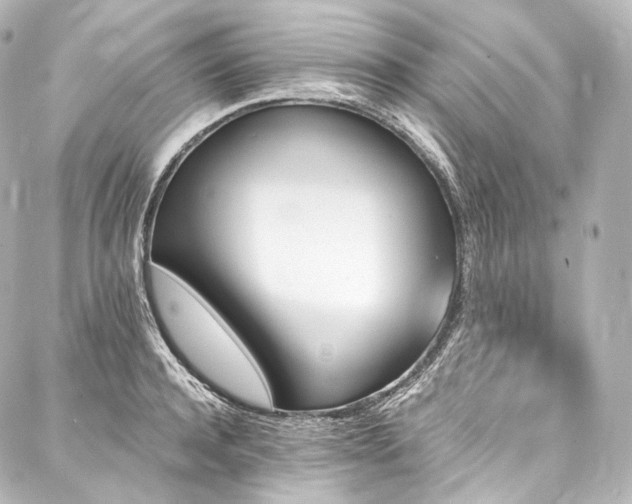X0000088140944200705141507
