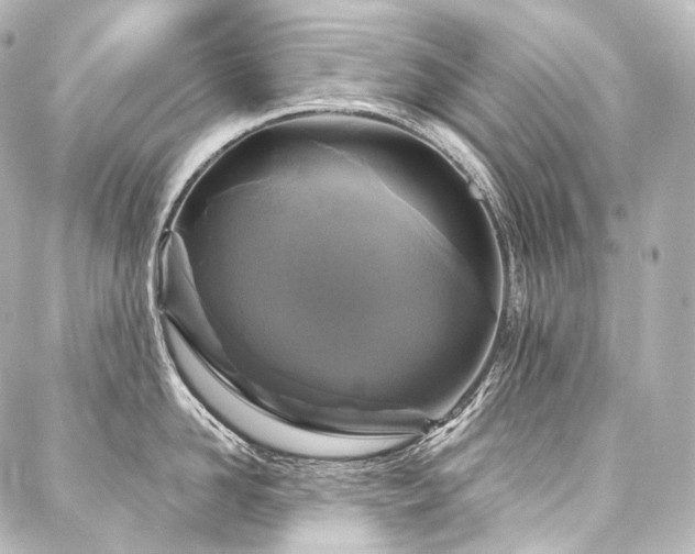 X0000088140958200705141508