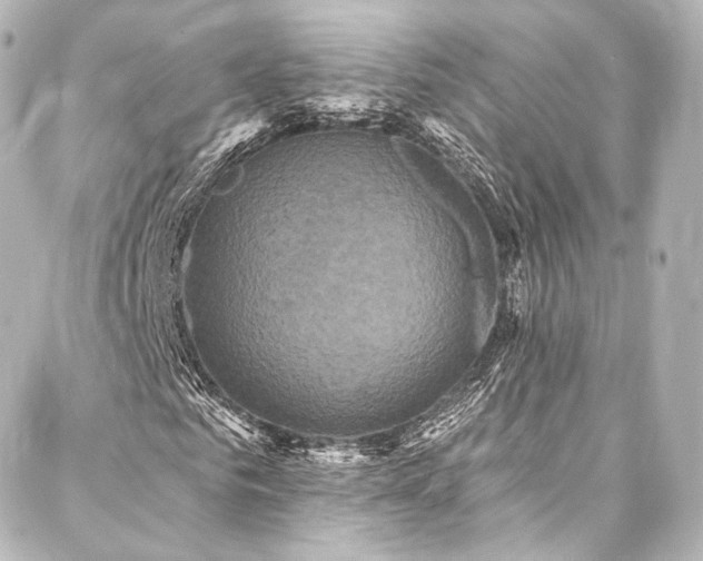 X0000088140961200705141507