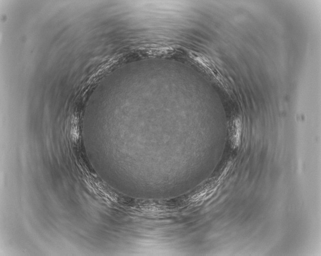 X0000088140962200705141507