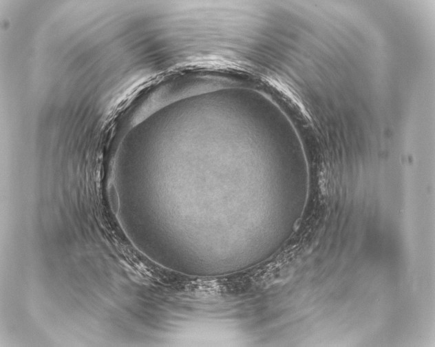 X0000088140968200705141507