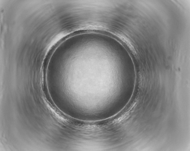 X0000088140982200705141506