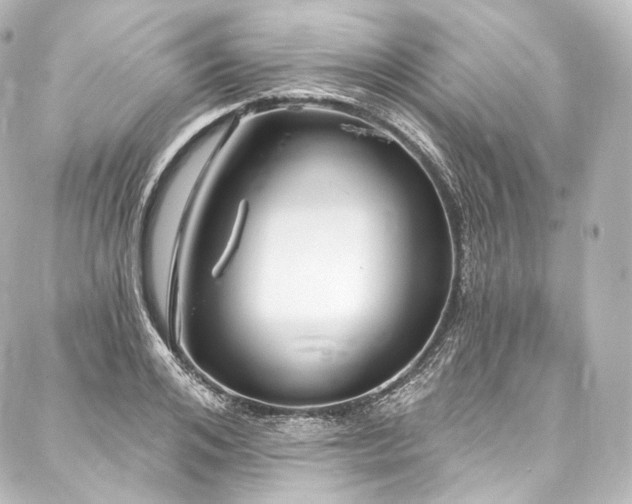 X0000088140984200705141506