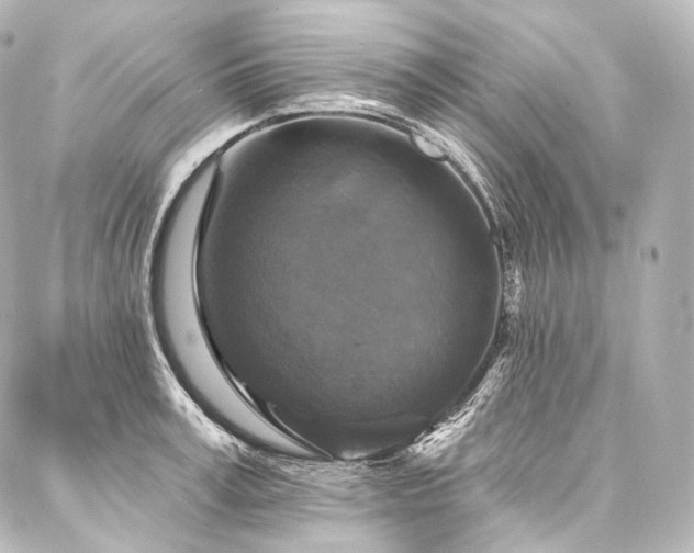X0000088140995200705141506