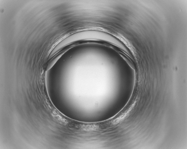 X0000088141001200705141506