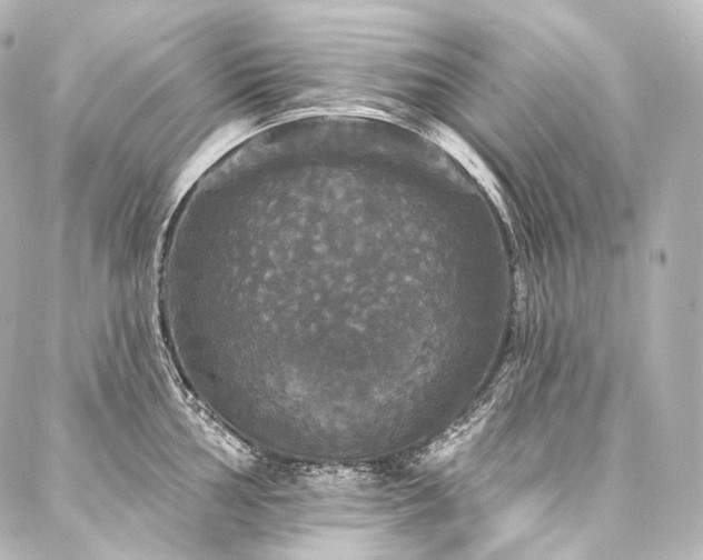 X0000088141002200705141506