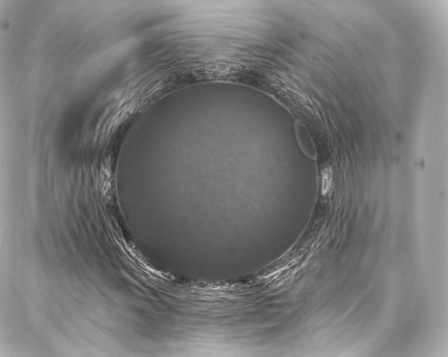 X0000088141011200705141505
