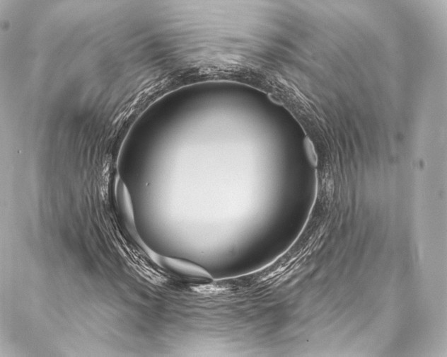 X0000088141012200705141505