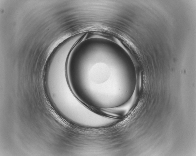 X0000088141026200705141506