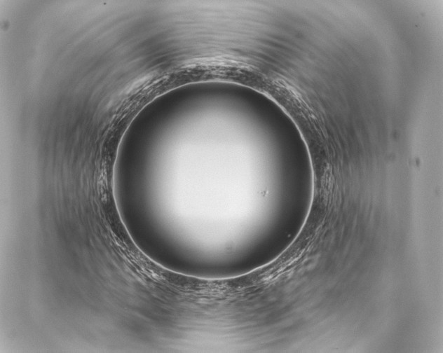 X0000088141062200705141505
