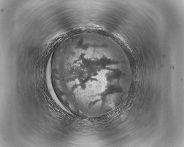X0000088141063200705141505