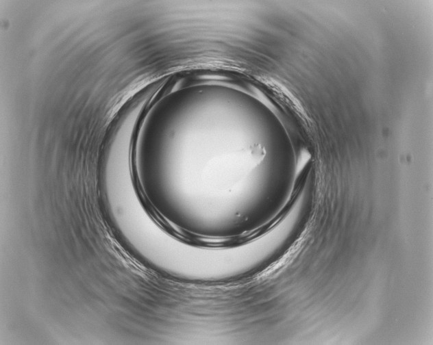 X0000088141065200705141505