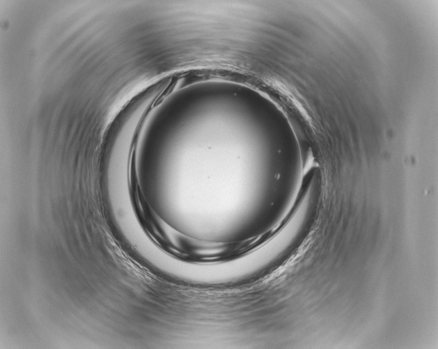 X0000088141069200705141505