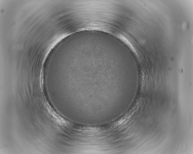 X0000088141076200705141505