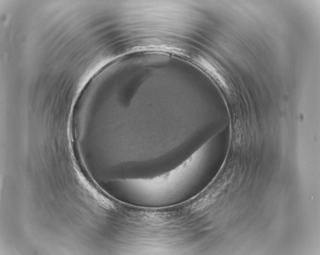 X0000088141084200705141505
