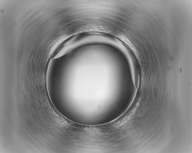 X0000088141089200705141505