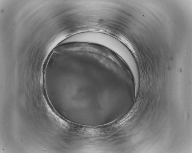 X0000088141095200705141505