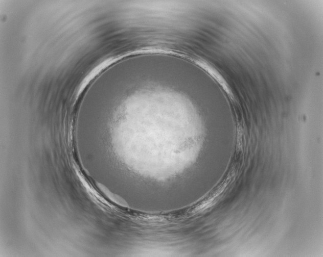 X0000088141101200705141505