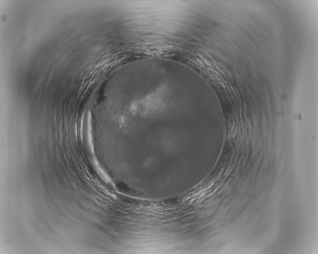 X0000088141106200705141504