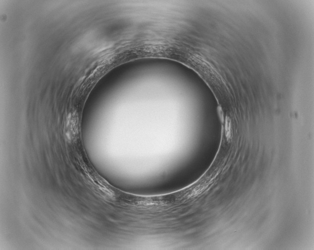 X0000088141107200705141504