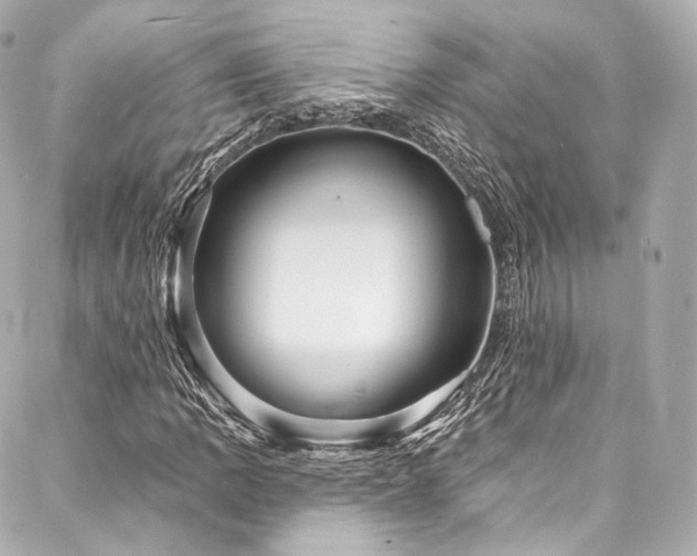 X0000088141109200705141504