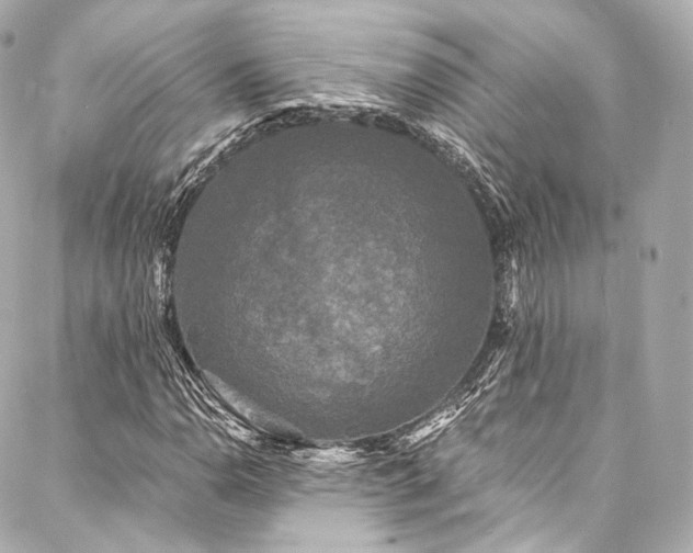 X0000088141110200705141504