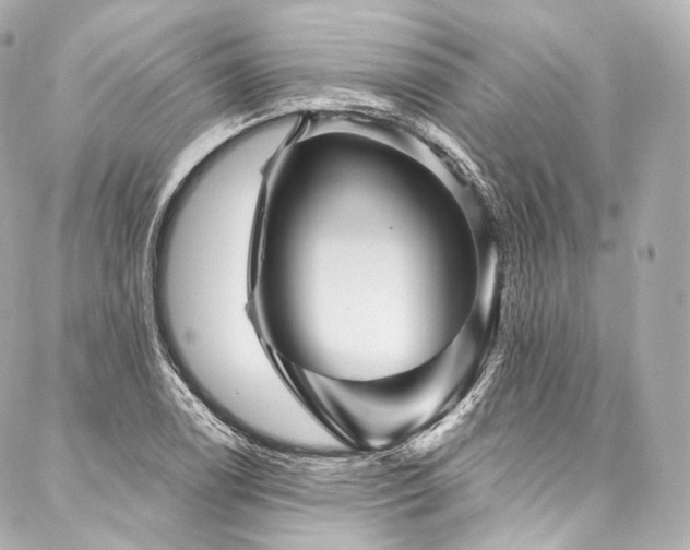 X0000088141122200705141504