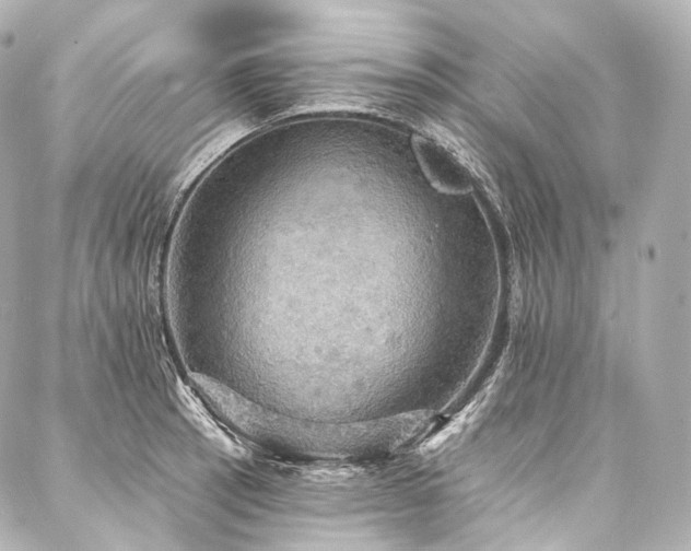 X0000088141137200705141504