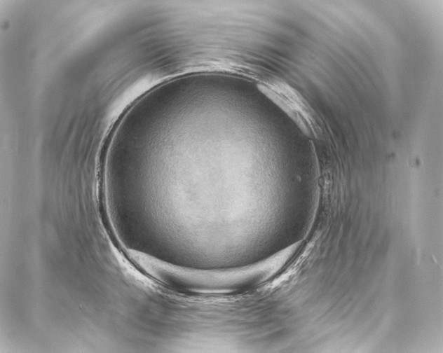 X0000088141143200705141504