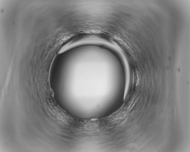 X0000088141153200705141504